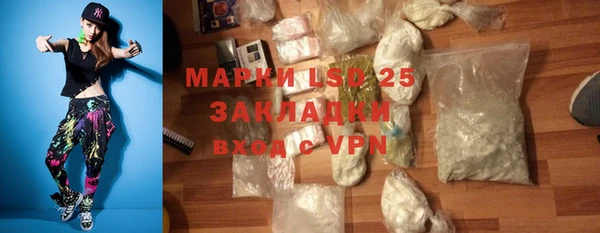 прущие грибы Рославль