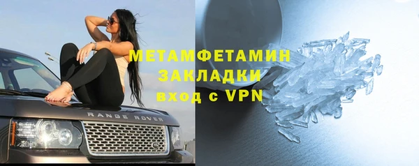 прущие грибы Рославль