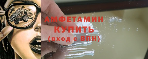 прущие грибы Рославль