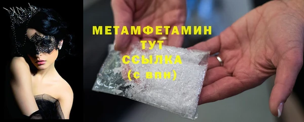 прущие грибы Рославль