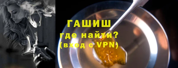 прущие грибы Рославль