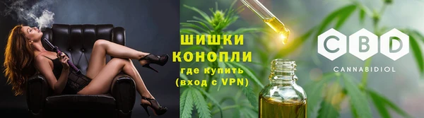 прущие грибы Рославль