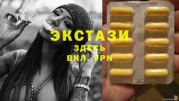 прущие грибы Рославль