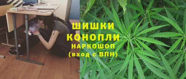 spice Галич