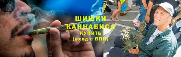 прущие грибы Рославль