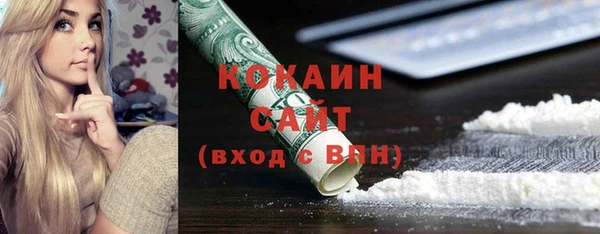 прущие грибы Рославль