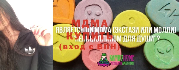прущие грибы Рославль