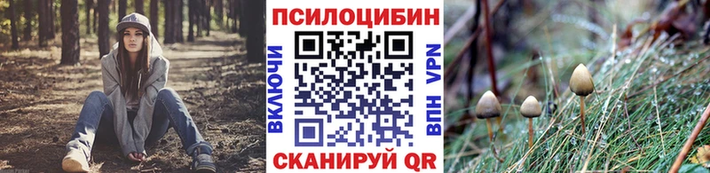 купить   Шахты  blacksprut рабочий сайт  Псилоцибиновые грибы Cubensis 