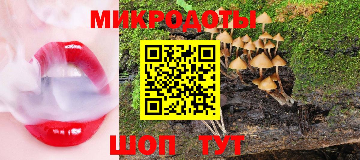 Шахты  Галлюциногенные грибы мухоморы  Вход с VPN 