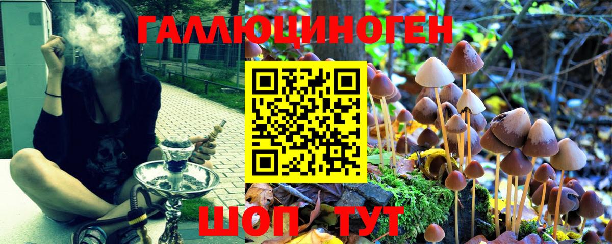 Галлюциногенные грибы GOLDEN TEACHER Шахты
